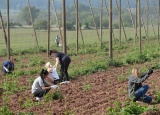 10-05-2018-ekonomove-na-chmelu_7.jpg