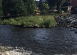 18-06-2018-vodacky-kurz-3-a-a-3-l_5.jpg