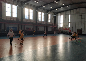 hqyro9num5_5-02-2019-florbal-challenge-divky-krajske-kolo_1