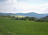 7-05-2019-1-l-na-exkurzi-ve-sklarne_15.jpg