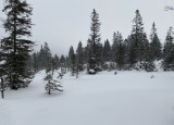 IMG-3189.jpg