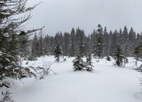 IMG-3188.jpg