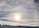IMG-3133.JPG