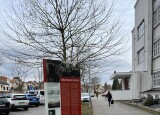 IMG_9117.jpeg