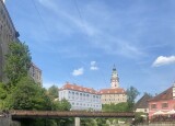 IMG-6308.jpg
