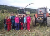 12-09-2017-sklizen-silazni-kukurice-na-skolnim-statku_1.jpg