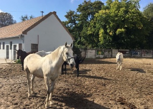 kl4firq23b_6-10-2017-mezinarodni-setkani-na-sos-pasv-levice_1