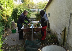 bipty6lpws_13-10-2017-pokusna-policka-3-a_1