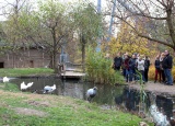15-11-2017-3-ch-v-zoo-praha_12.jpg