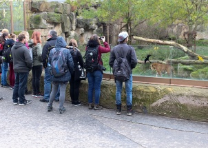 7f0of7nl80_15-11-2017-3-ch-v-zoo-praha_1