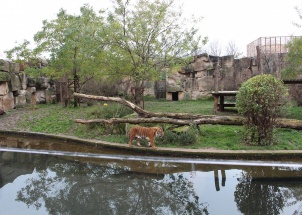 7f0of7nl80_15-11-2017-3-ch-v-zoo-praha_1