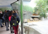 15-11-2017-3-ch-v-zoo-praha_9.jpg