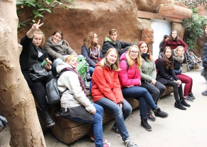 7f0of7nl80_15-11-2017-3-ch-v-zoo-praha_1