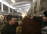 4-12-2017-studenti-4-rocniku-na-inseminacnim-kurzu_5.jpg