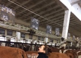 4-12-2017-studenti-4-rocniku-na-inseminacnim-kurzu_4.jpg