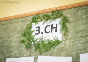 hvbhzbbt6x_5-03-2018-praxe-3-ch-vyroba-dekoraci-z-chvoji_1