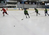 5-03-2018-hokejove-utkani-s-sou-nove-straseci_29.jpg