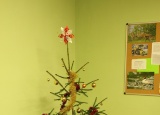 15-12-2017-1-disciplina-vanocni-mezitridni-souteze_10.jpg