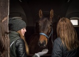 28-02-2018-praxe-chovatelu-zemsky-hrebcinec-pisek_22.jpg