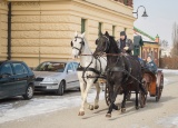 28-02-2018-praxe-chovatelu-zemsky-hrebcinec-pisek_3.jpg