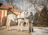28-02-2018-praxe-chovatelu-zemsky-hrebcinec-pisek_9.jpg