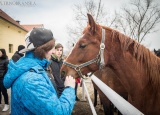 28-02-2018-praxe-chovatelu-zemsky-hrebcinec-pisek_17.jpg