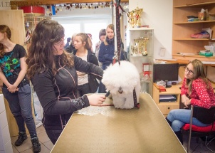 ywun16oztd_3-05-2018-praxe-3-ch-psi-salon-jana_1