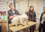 3-05-2018-praxe-3-ch-psi-salon-jana_2.jpg