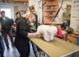 3-05-2018-praxe-3-ch-psi-salon-jana_13.jpg