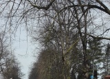 3-05-2018-cviceni-studentu-2-rocniku-oboru-ekologie-a-zivotni-prostredi_2.jpg