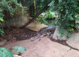 19-05-2018-zoo-dvur-kralove_6.jpg
