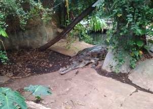 isnghlboq3_19-05-2018-zoo-dvur-kralove_1
