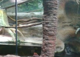 19-05-2018-zoo-dvur-kralove_5.jpg