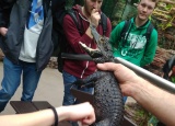 19-05-2018-zoo-dvur-kralove_9.jpg