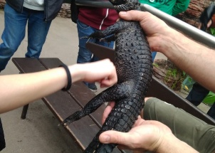 isnghlboq3_19-05-2018-zoo-dvur-kralove_1