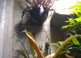 19-05-2018-zoo-dvur-kralove_4.jpg
