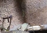 19-05-2018-zoo-dvur-kralove_10.jpg