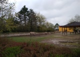 19-05-2018-zoo-dvur-kralove_12.jpg