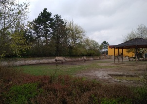 isnghlboq3_19-05-2018-zoo-dvur-kralove_1