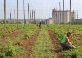 18-05-2018-chmelova-vypomoc_28.jpg