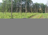 18-05-2018-chmelova-vypomoc_22.jpg