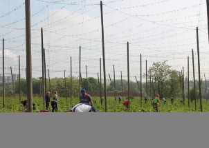 dopxdhta1t_18-05-2018-chmelova-vypomoc_1