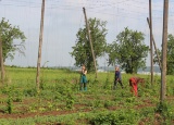 18-05-2018-chmelova-vypomoc_24.jpg