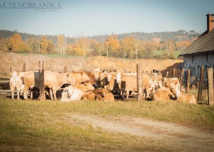 y7cs6e7vcq_22-10-2018-odborna-exkurze-mladotice_1