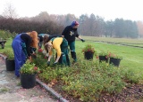 14-11-2018-zazimovani-ruzoveho-sadu-lidice_18.jpg
