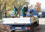 8-11-2018-zazimovani-ruzoveho-sadu-lidice_7.jpg