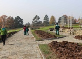 14-11-2018-zazimovani-ruzoveho-sadu-lidice_20.jpg