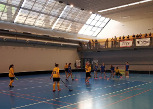 6tzni00lw9_15-11-2018-florbal-challenge-divky-okresni-kolo_1