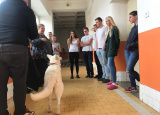 26-11-2018-kynologie-3-ch-kurz-vystavovani_2.jpg