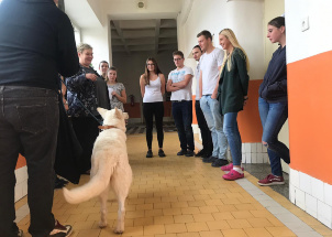 2t2ten9p2x_26-11-2018-kynologie-3-ch-kurz-vystavovani_1